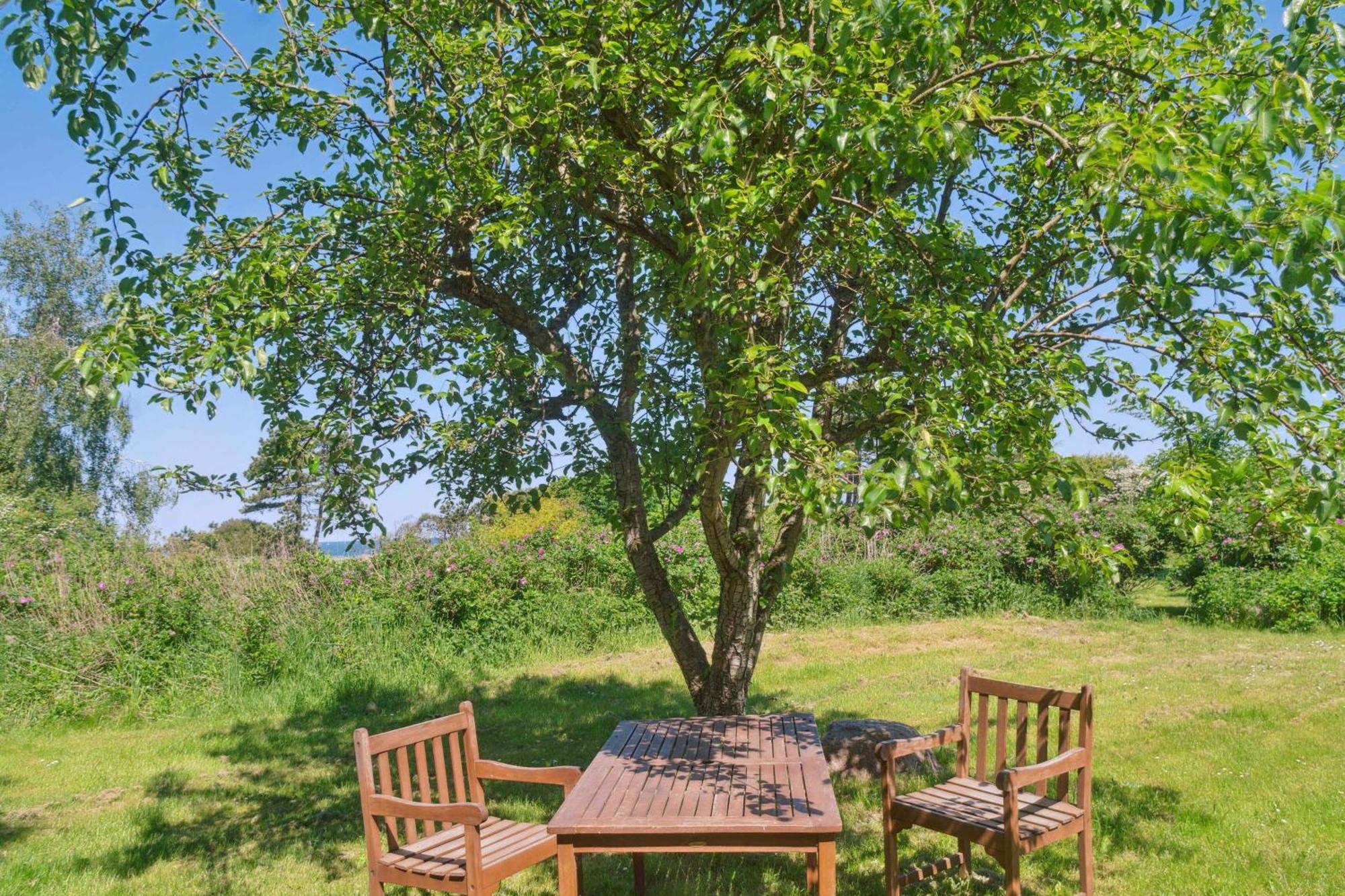 קלונדבורג Idyllic Coastal Cottage Comfort And Relaxing מראה חיצוני תמונה